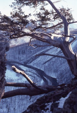 smokeholecanyonmarch19806.jpg