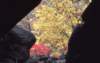 oldraghike19816_small.jpg