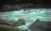 yougheghenyrivertrip19805_small.jpg