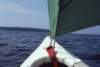 chesapeake4_small.jpg