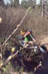 triptomainein198010_small.jpg