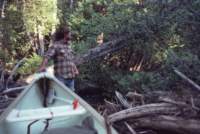 triptomainein198011_small.jpg
