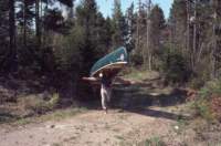 triptomainein198014_small.jpg