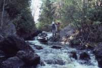 triptomainein198015_small.jpg