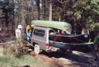 triptomainein19801_small.jpg