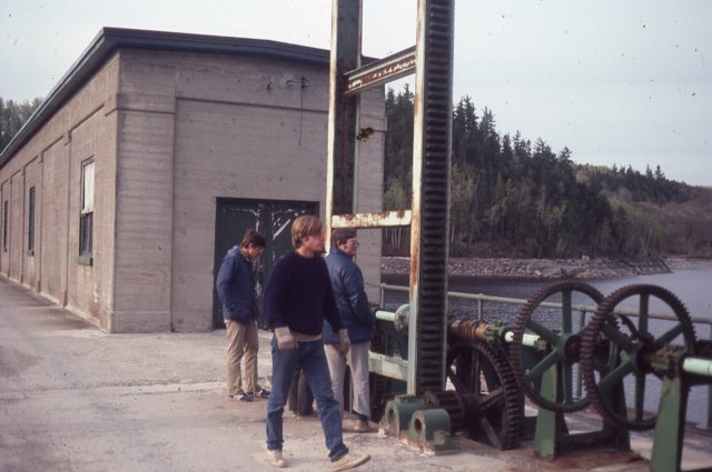 triptomainein19802.jpg