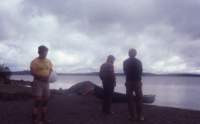 triptomainein19803_small.jpg