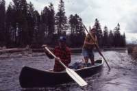 triptomainein19804_small.jpg