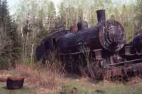 triptomainein19806_small.jpg