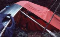 triptomainein19807_small.jpg