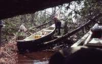 triptomainein19809_small.jpg
