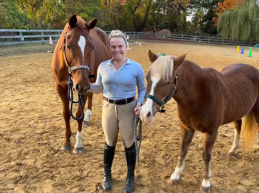 Walking with horses image